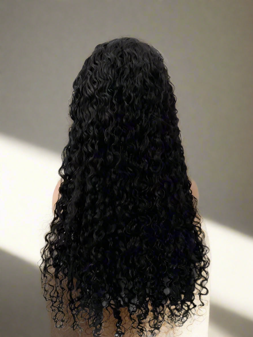 Water Wave Curly Human Hair Lace Wig