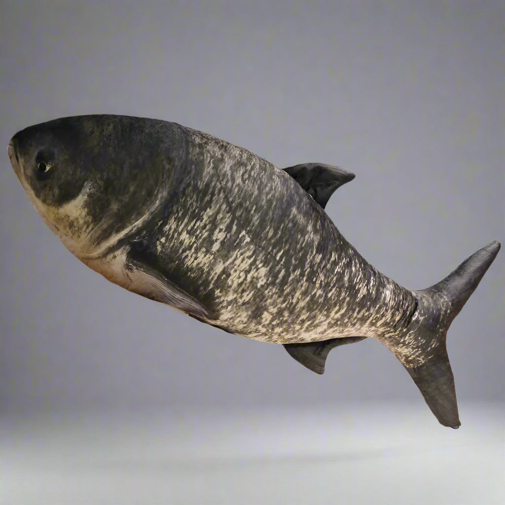 giant fish pillow