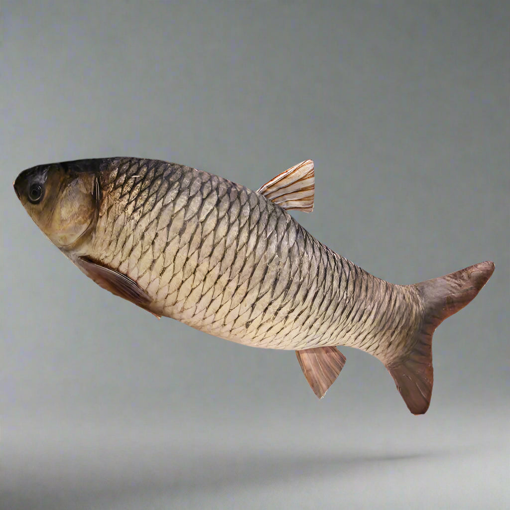 giant fish pillow