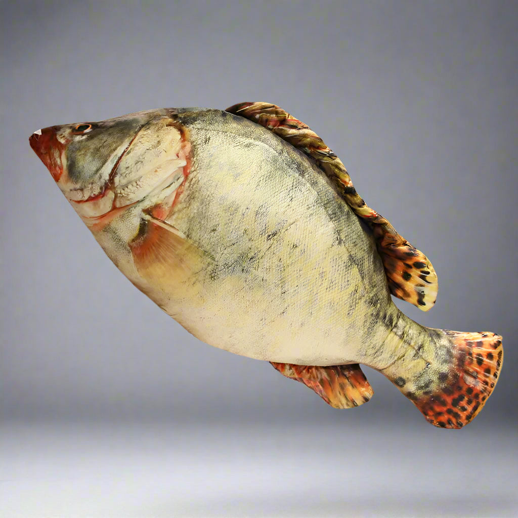 giant fish pillow