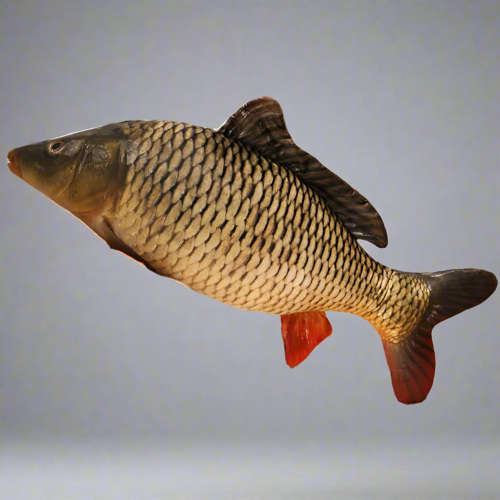 giant fish pillow