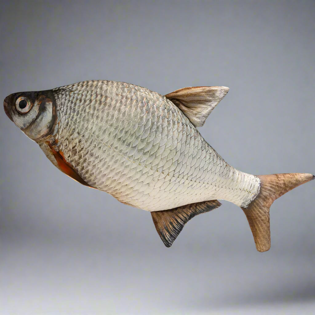 giant fish pillow