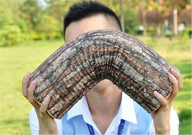 Stump Round Woods Soft Plush Pillow