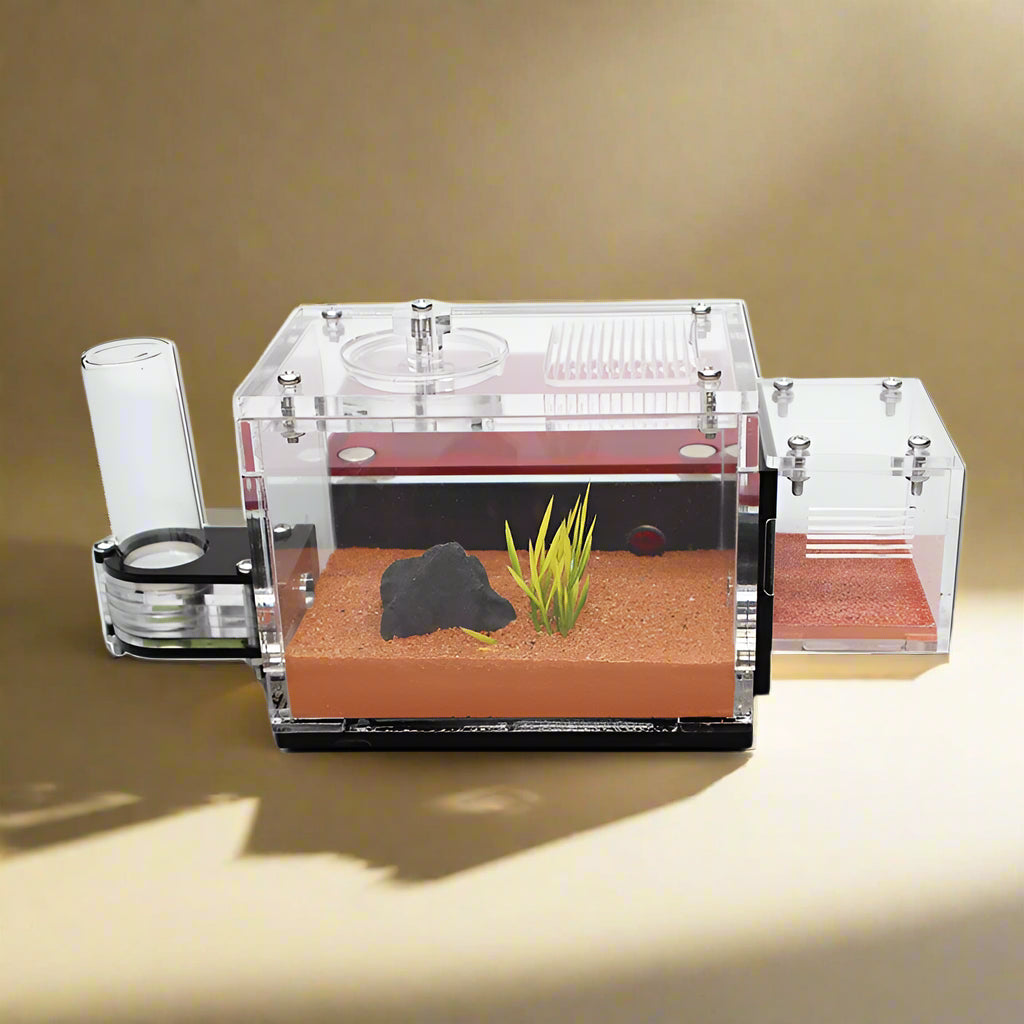 Ant Farm with Tower Water