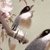Flowers Birds Mural Wallpaper