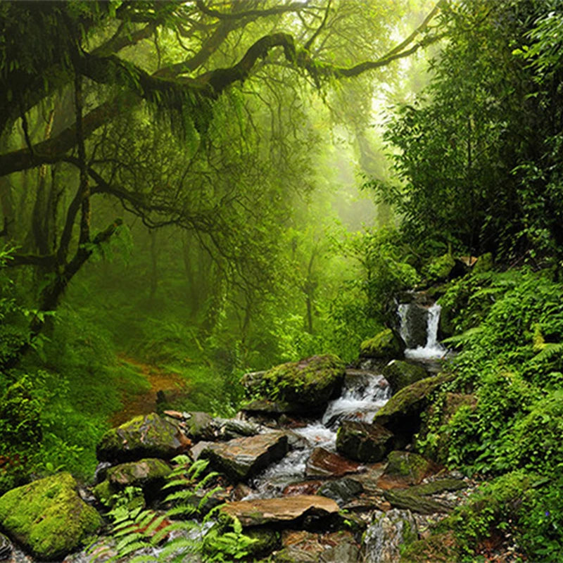 Forest Nature Landscape Mural Wallpaper