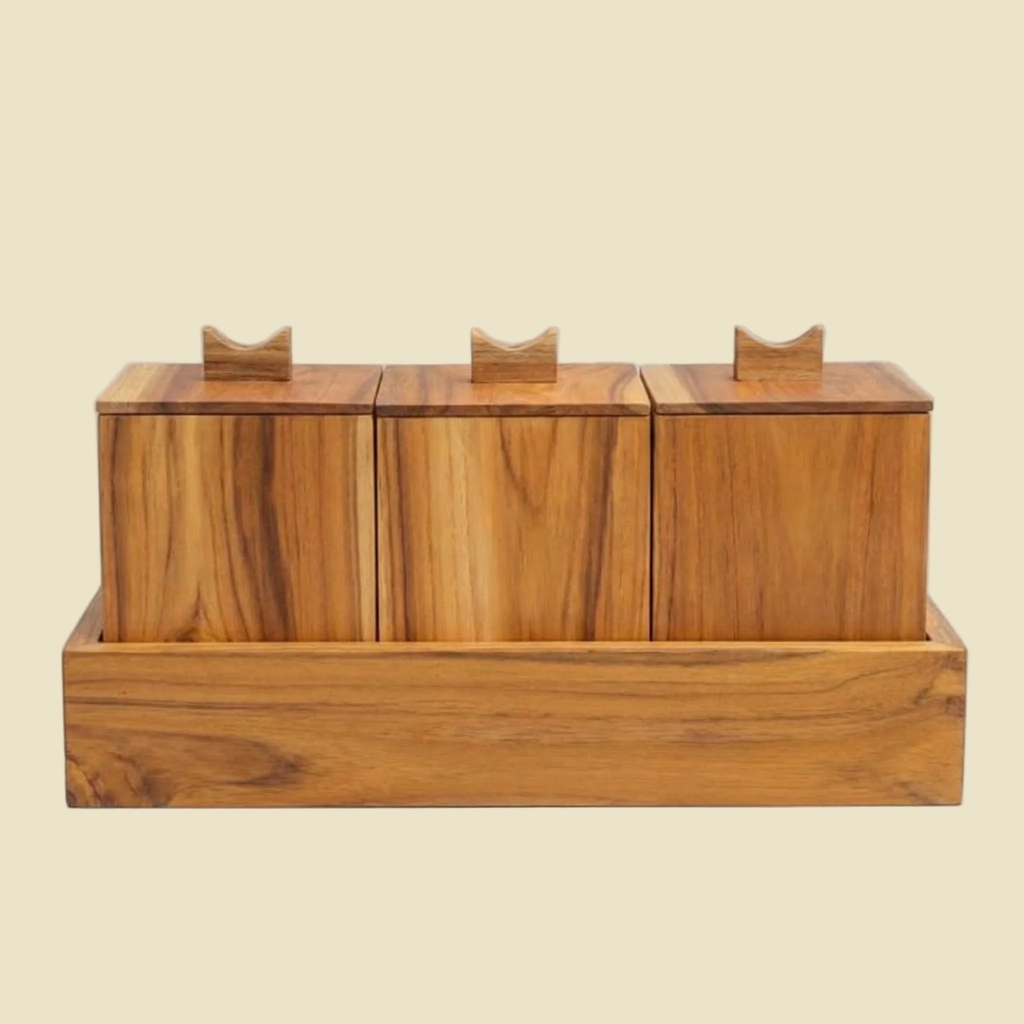 Handcrafted Teak Apothecary Spice Box Set