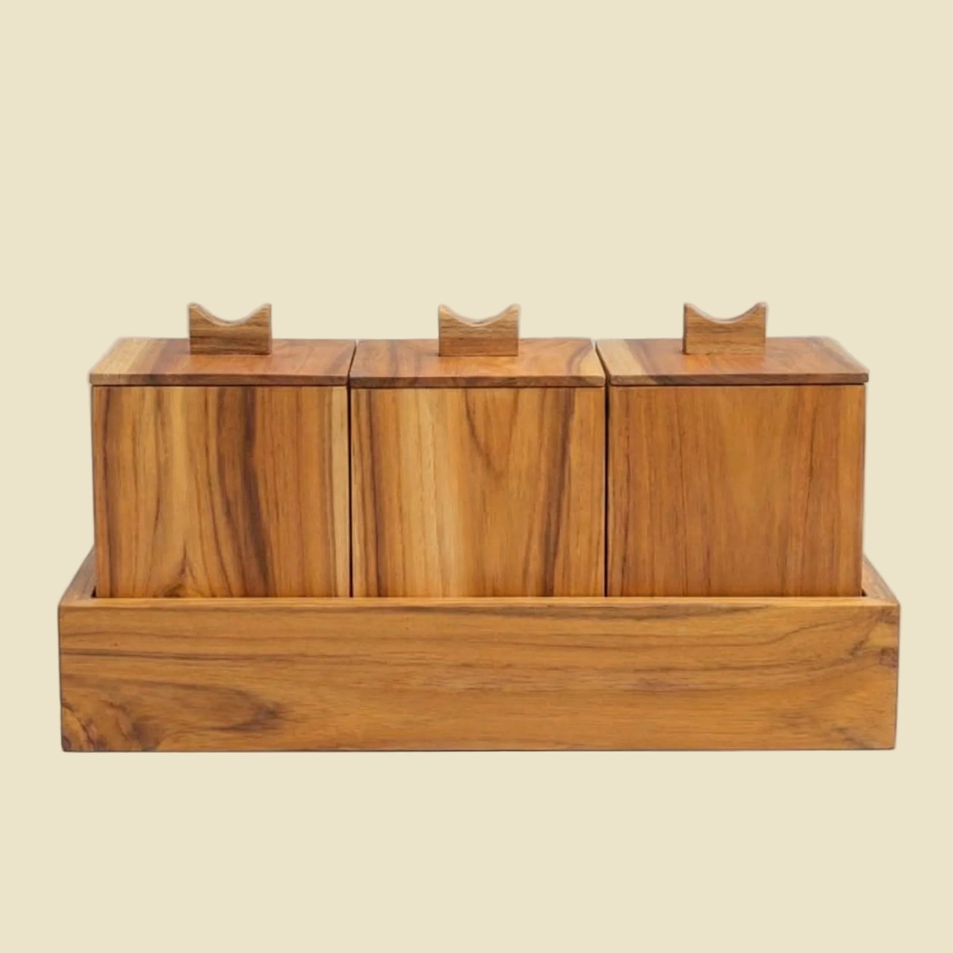 Handcrafted Teak Apothecary Spice Box Set