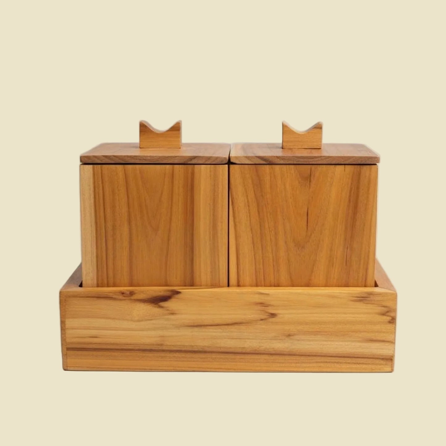 Handcrafted Teak Apothecary Spice Box Set
