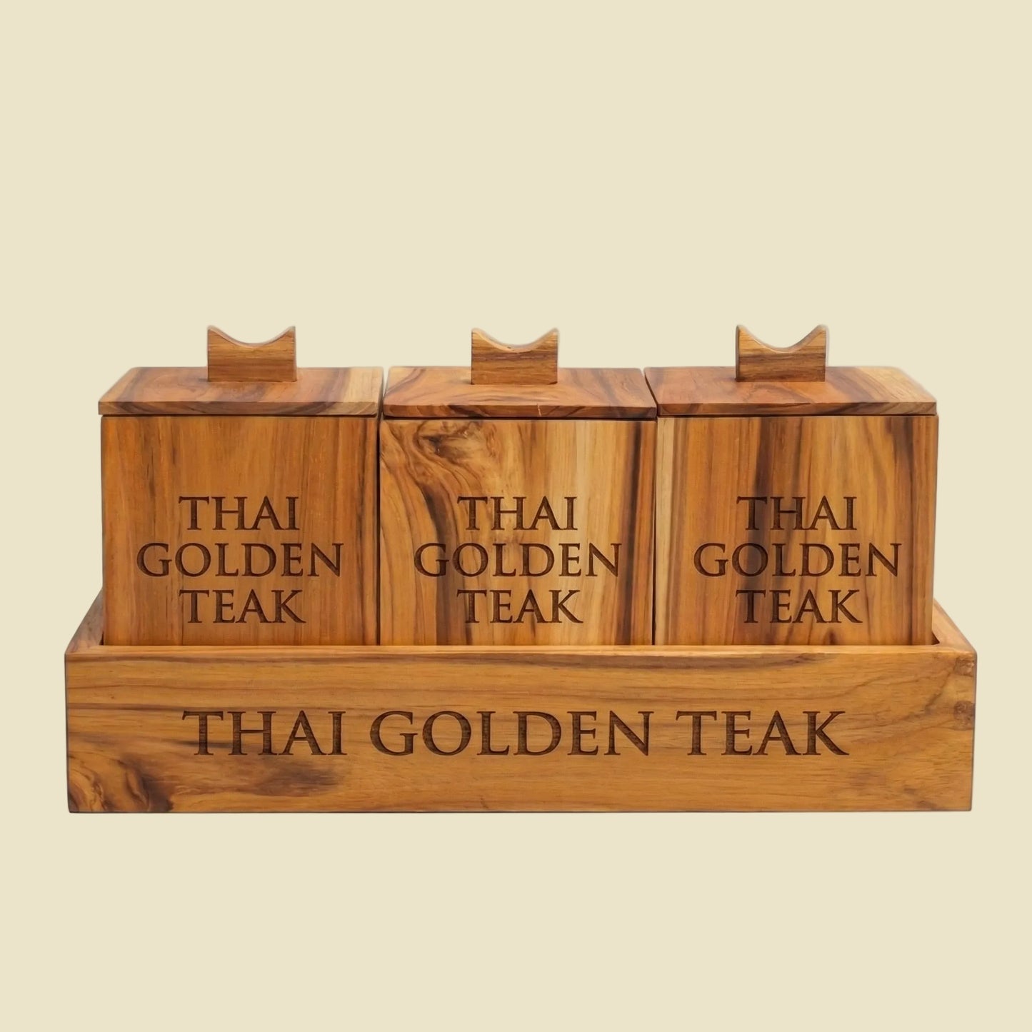Handcrafted Teak Apothecary Spice Box Set