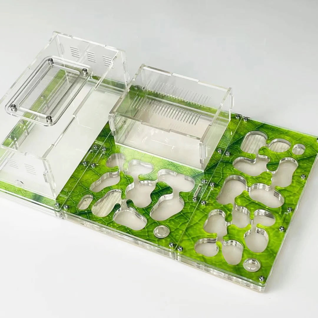 Large-size DIY Acryl  Ant Farm