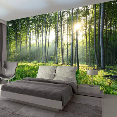 Green Forest Nature Landscapes Mural Wallpaper
