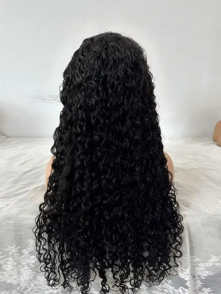 Water Wave Curly Human Hair Lace Wig