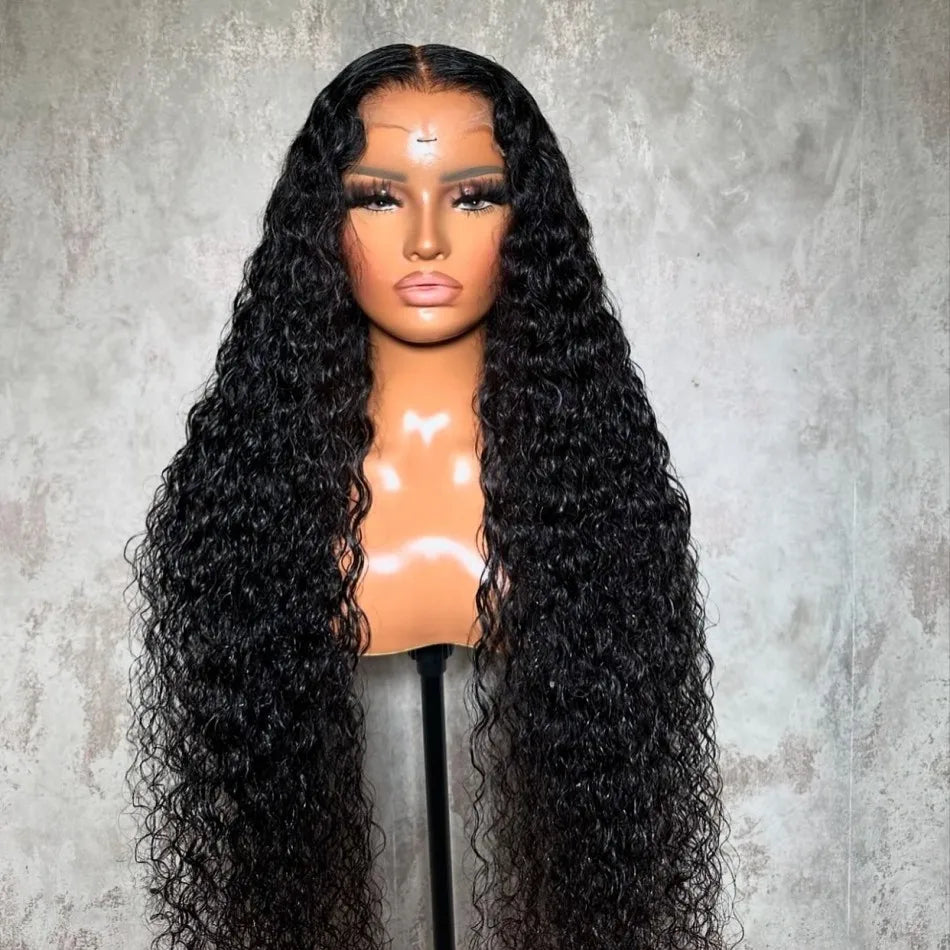 Water Wave Curly Human Hair Lace Wig