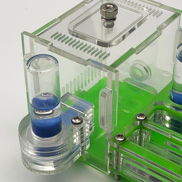 Mini Acrylic Ant Farm