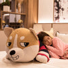 Husky Dog Giant Stuffed Animals  Plush Toy Pillow - Goods Shopi