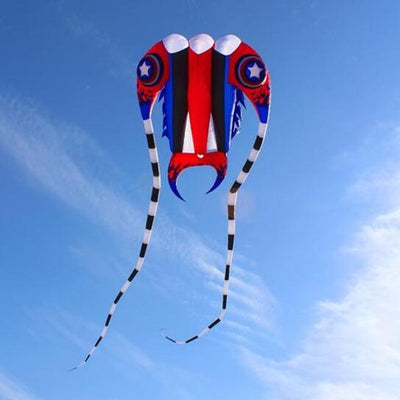Giant octopus kite surf - Goods Shopi
