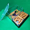 Castle Ant Farm House