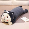 Kawaii Cat Plush Toys Stuffed Animal Soft Pillow