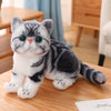 Lifelike Stuffed Cats Plush Toy