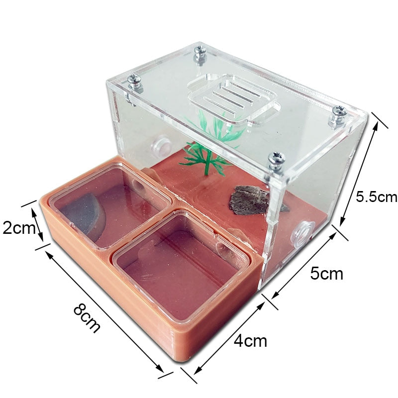 Flat Ant Farm Ecological