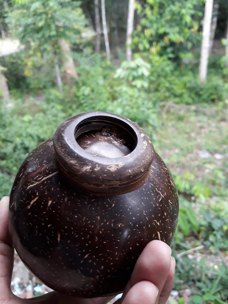 Coconut shell soap dispenser Bump bottle bathroom decor ideas - Goods Shopi