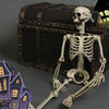 Halloween Decoration  Skull Skeleton - Goods Shopi