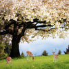 Mural Wallpaper Cherry Blossom Trees - Goods Shopi